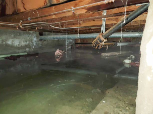 Best Professional water damage repair  in Tullytown, PA
