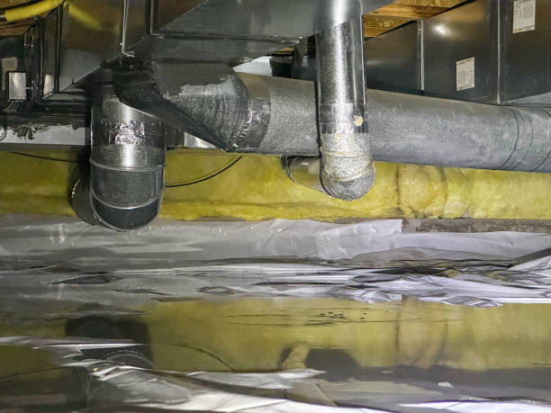 Best Local water damage restoration  in Tullytown, PA